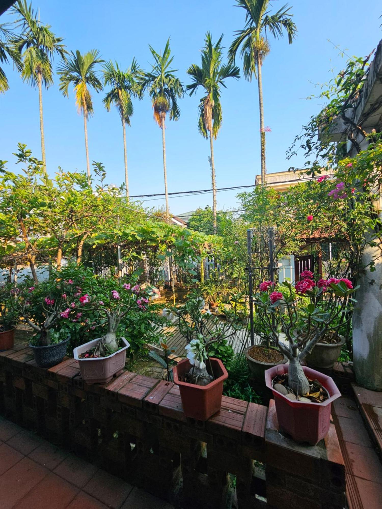 Rose Homestay Hue Thon Kim Long Extérieur photo